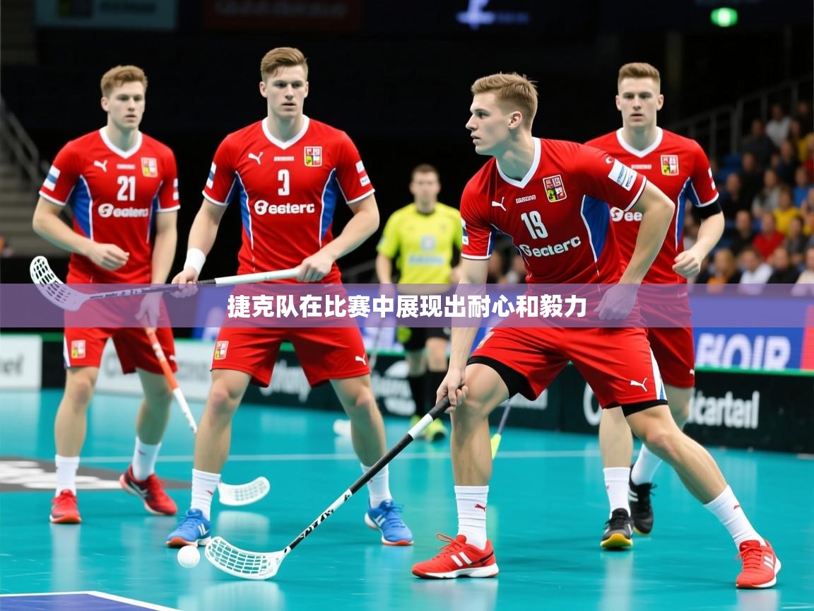 2025 优直播nba捷克队在比赛中展现出耐心和毅力  第3张