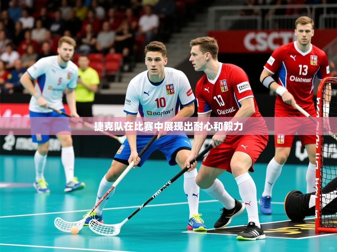 2025 优直播nba捷克队在比赛中展现出耐心和毅力  第2张