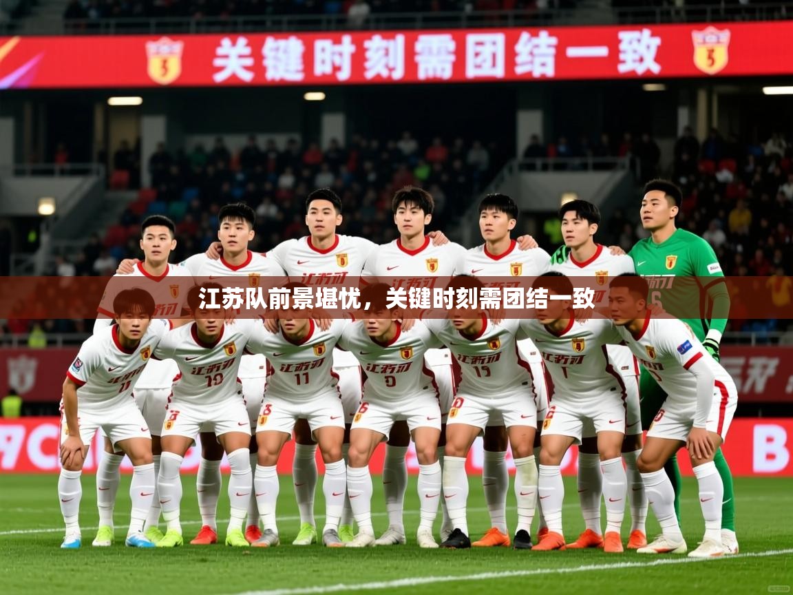 2025 优直播网江苏队前景堪忧,关键时刻需团结一致 第3张