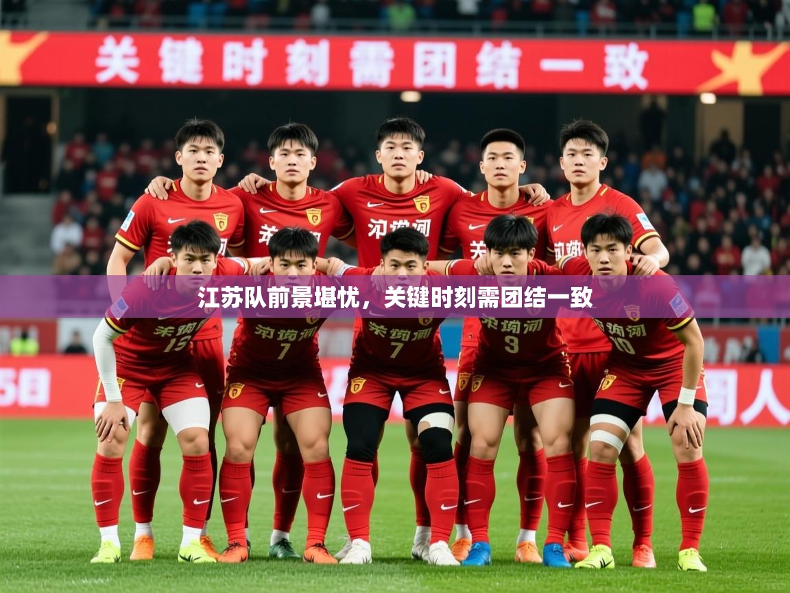 2025 优直播网江苏队前景堪忧,关键时刻需团结一致 第4张