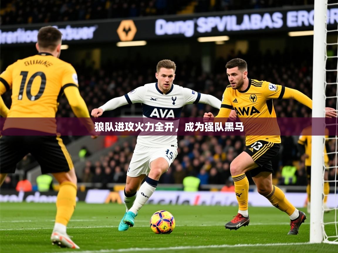 2025 优直播网狼队进攻火力全开，成为强队黑马  第2张