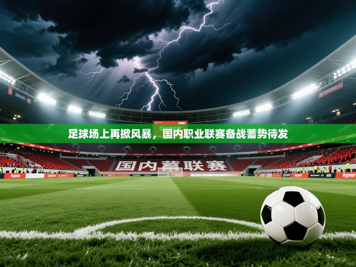 2026 优直播网足球场上再掀风暴，国内职业联赛备战蓄势待发  第2张